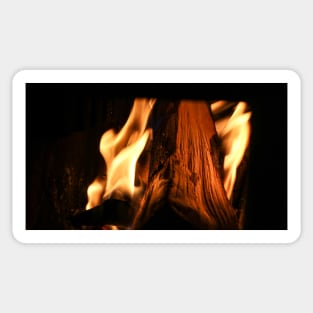 Burning Wood Sticker